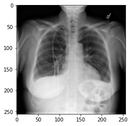 Example greyscale image
