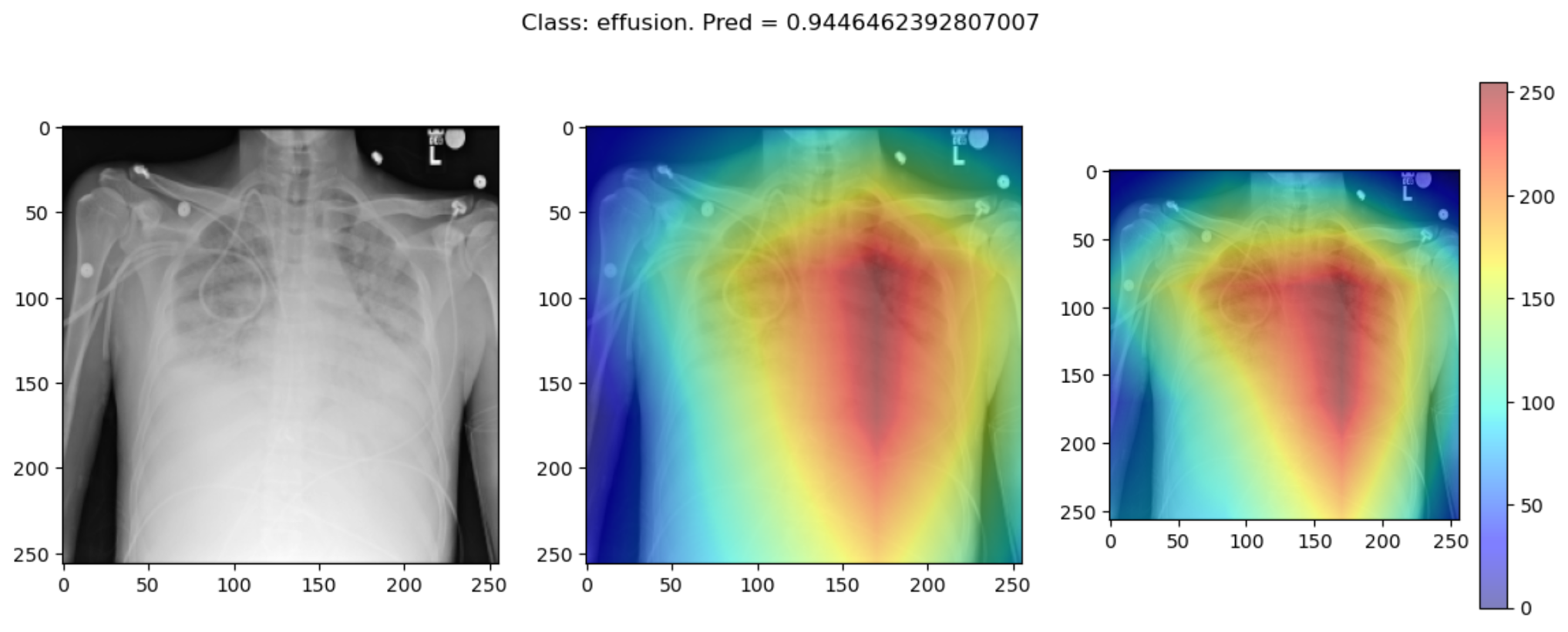 saliency_agreement